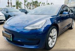 Tesla Model Blue 2019