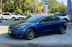 Tesla Model Blue 2020