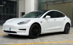 Tesla Model White 2020