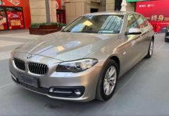 BMW 5 Series Brown 2013