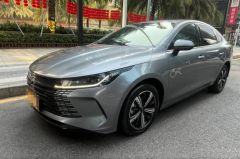 BYD BYD KING‌ Gray 2022