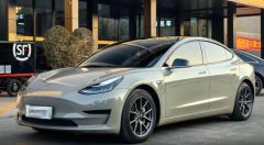 Tesla Model Gray 2020