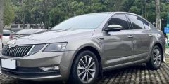 SKODA Octavia Gray 2017