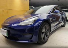 Tesla Model Blue 2019