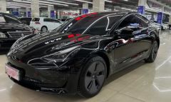 Tesla Model Black 2021