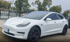 Tesla Model White 2019