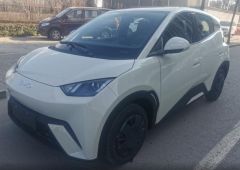 BYD Seagull White 2024