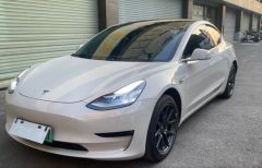 Tesla Model White 2020