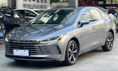 BYD BYD KING‌ Silver 2022