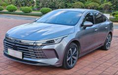 BYD BYD KING‌ Gray 2022