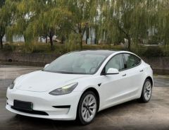 Tesla Model White 2021