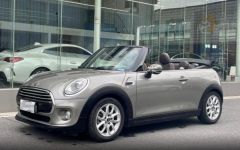 MINI MINI Gray 2017