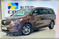 Buick GL8 Brown 2018