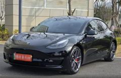 Tesla Model Black 2021