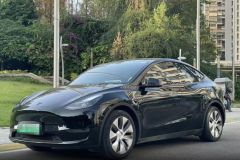 Tesla Model Black 2021