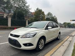 Ford Ford Focus White 2013