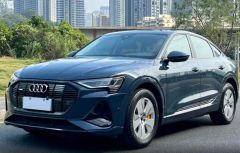 Audi e-tron Blue 2021