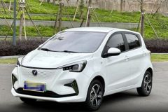 Changan E-Star White 2022