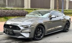Ford Mustang Gray 2021