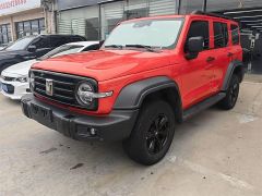 Great Wall 300 Yellow 2020