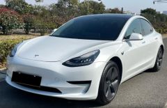Tesla Model White 2019