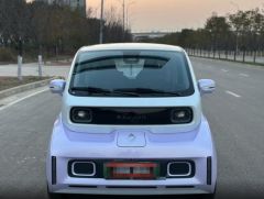 SGMW E300 Purple 2020