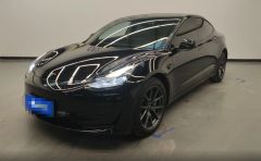 Tesla Model Black 2021