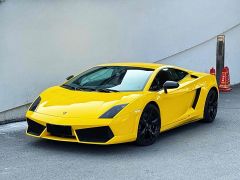 Lamborghini Gallardo White 2011