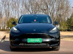 Tesla Model Black 2021