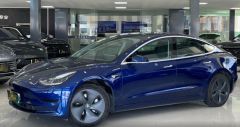 Tesla Model Blue 2020