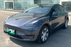 Tesla Model Silver 2021