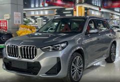BMW X1 Gray 2023