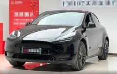 Tesla Model Black 2021