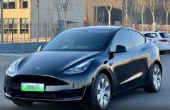 Tesla Model Black 2021