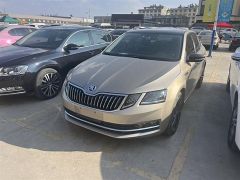 SKODA Octavia Brown 2017