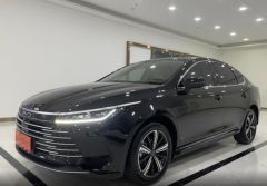 BYD BYD KING‌ Black 2023