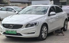 VOLVO S60 White 2018