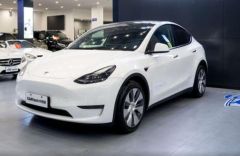 Tesla Model White 2021