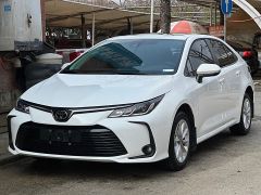 Toyota Corolla White 2023