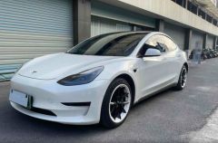Tesla Model White 2021