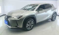 Lexus UX Brown 2020