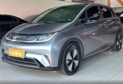BYD Dolphin Gray 2022