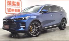BYD Tan DM Blue 2018