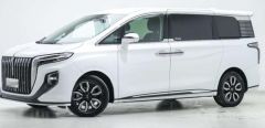Hong Qi HQ9 White 2022