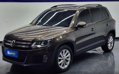 Volkswagen Tiguan Brown 2016