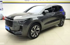 Lixiang Auto ONE Gray 2021