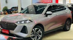 Great Wall DHT White 2021