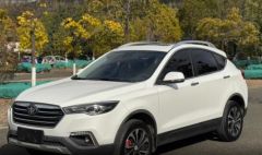 BESTUNE X80 White 2018