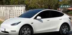 Tesla Model White 2021