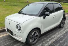Great Wall Ora Cat White 2021
